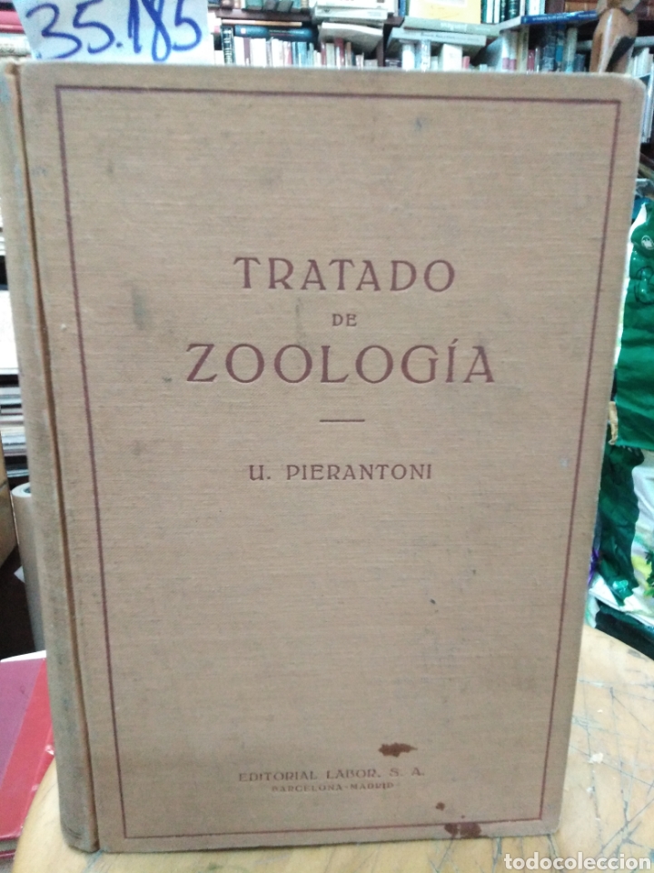 Libros: TRATADO DE ZOOLOGIA - PIERANTONI,Umberto. - Foto 1