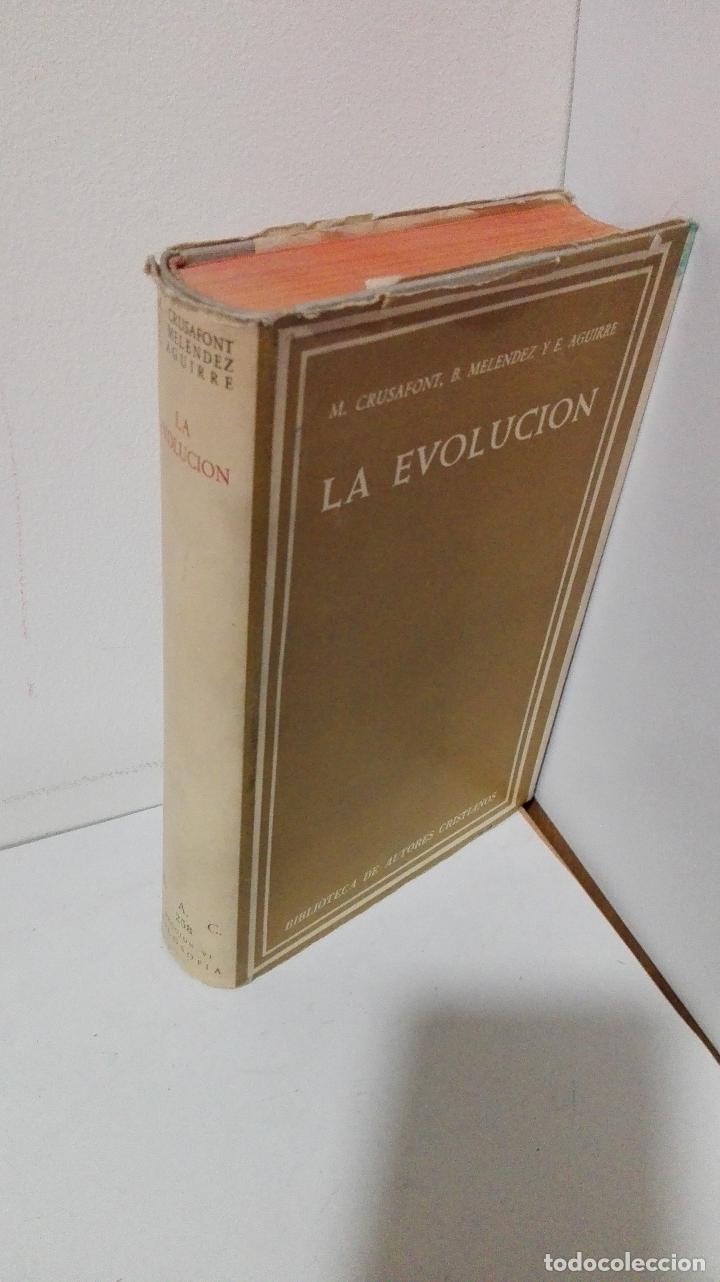 Libros: LA EVOLUCION - VV. AA. - Foto 1