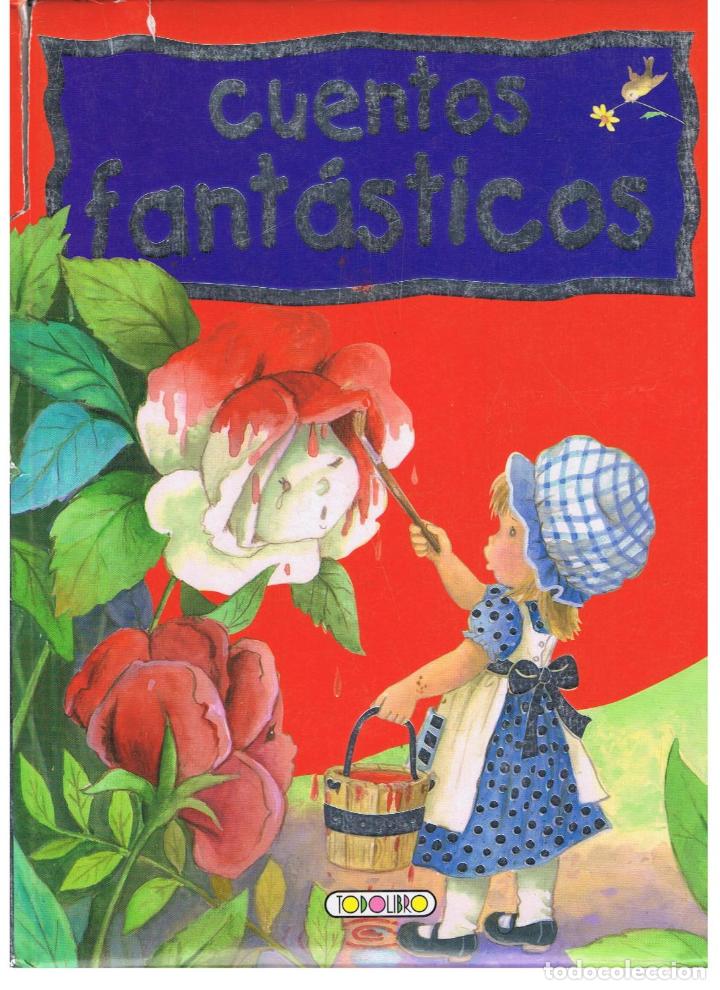 Libros: AA.VV - CUENTOS FANT&Atilde;�STICOS - Foto 1