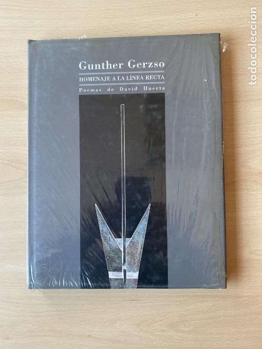 Libros: GUNTHER GERZSO HOMENAJE A LA LINEA RECTA - Varios - Foto 1