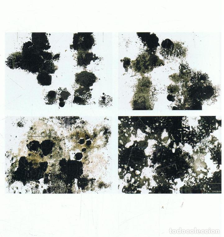 Libros: Cat&Atilde;&iexcl;logo - MICHEL BRAUN. Pinturas - Foto 2