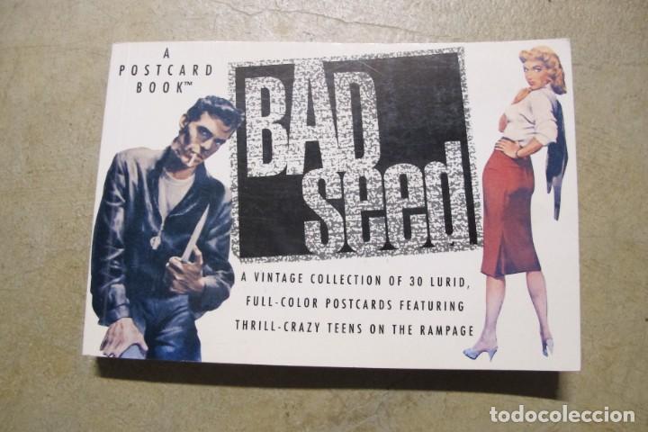 Libros: A BAD SEED. A POSTCARD BOOK. 30 POSTALES LOCAS DE NOVELAS - Foto 1