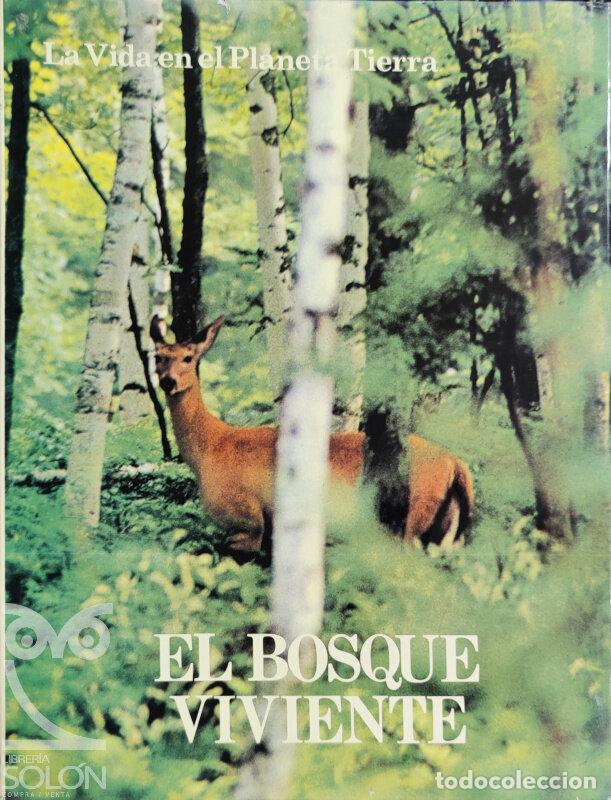 Libros: El bosque viviente - Michael Boorer - Foto 1