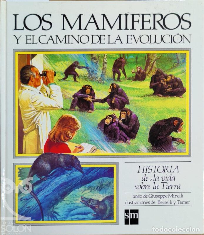Libros: Los mam&iacute;feros y el camino de la evoluci&oacute;n - Giuseppe Minelli - Foto 1