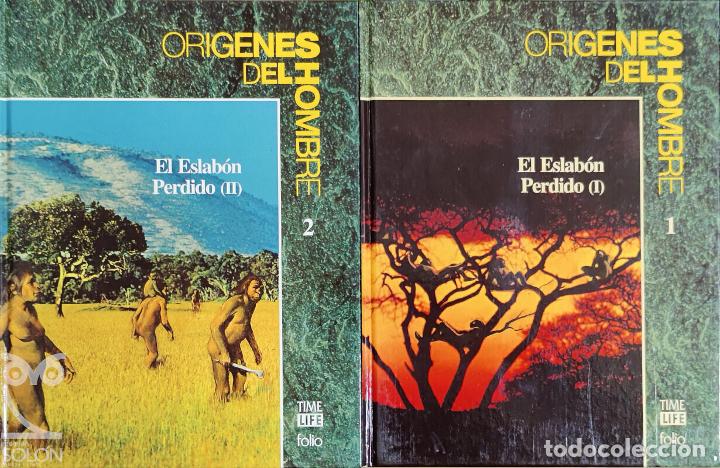 Libros: El eslab&oacute;n perdido - Vol. I-II (Completa) - Maitland A. Edey - Foto 1