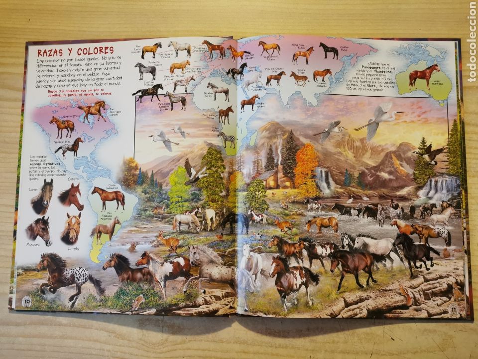 Libros: BUSCA LOS CABALLOS Y PONIS - ED. SUSAETA - Foto 2