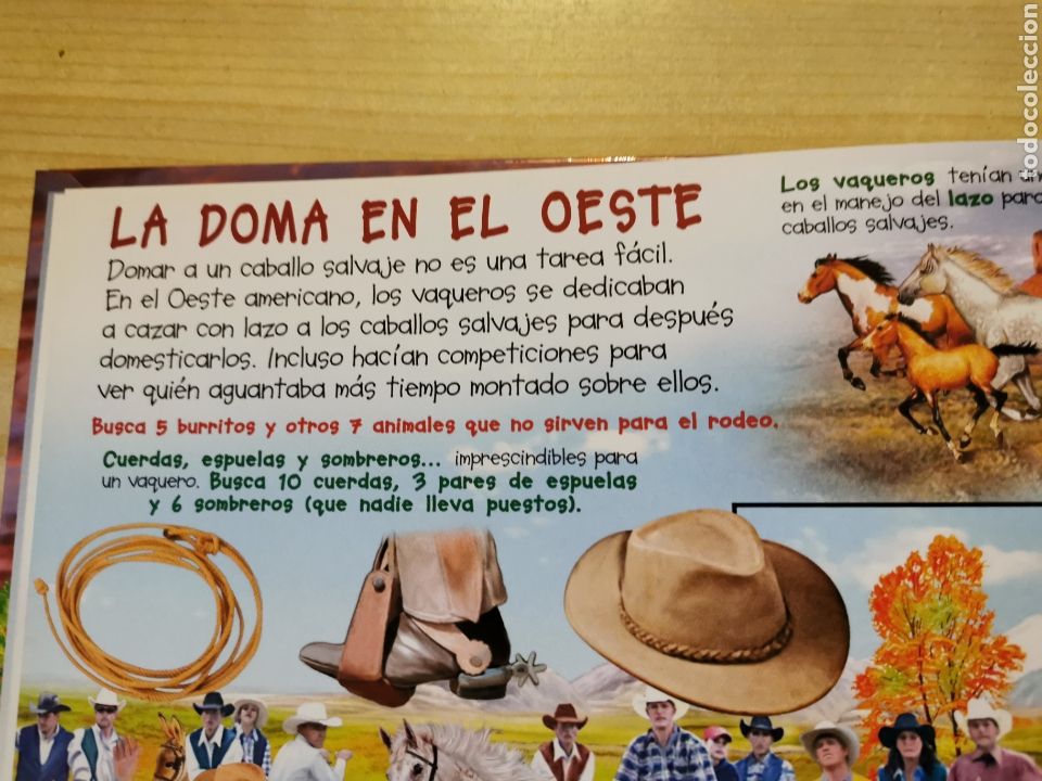 Libros: BUSCA LOS CABALLOS Y PONIS - ED. SUSAETA - Foto 3