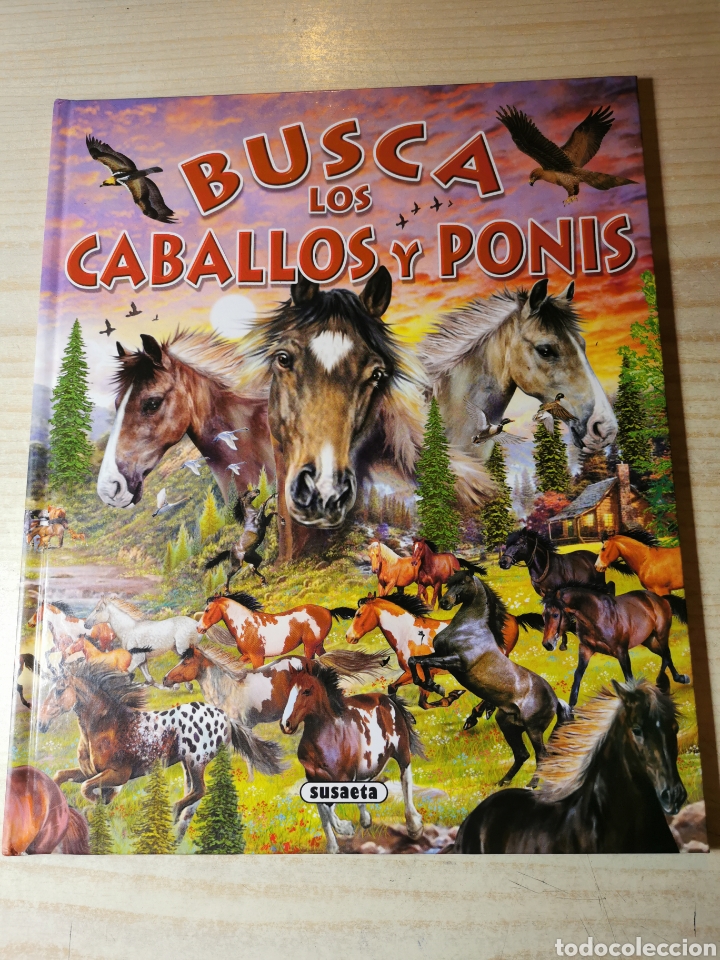 Libros: BUSCA LOS CABALLOS Y PONIS - ED. SUSAETA - Foto 1
