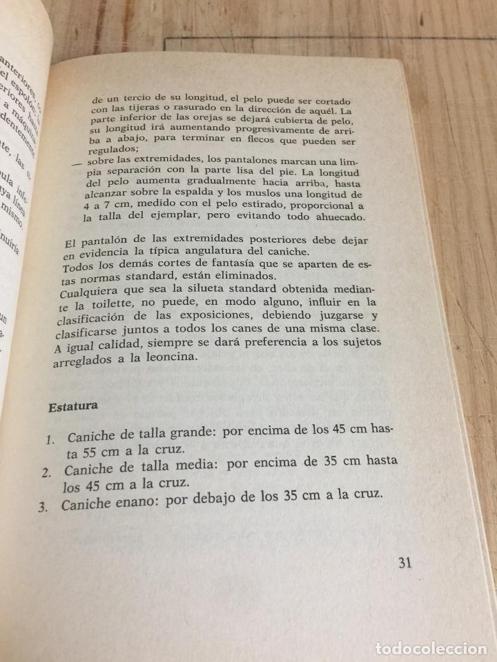 Libros: El caniche - Fiorenzo Fiorone - Foto 3