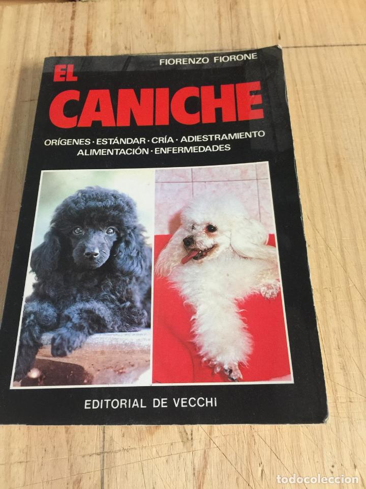 Libros: El caniche - Fiorenzo Fiorone - Foto 1