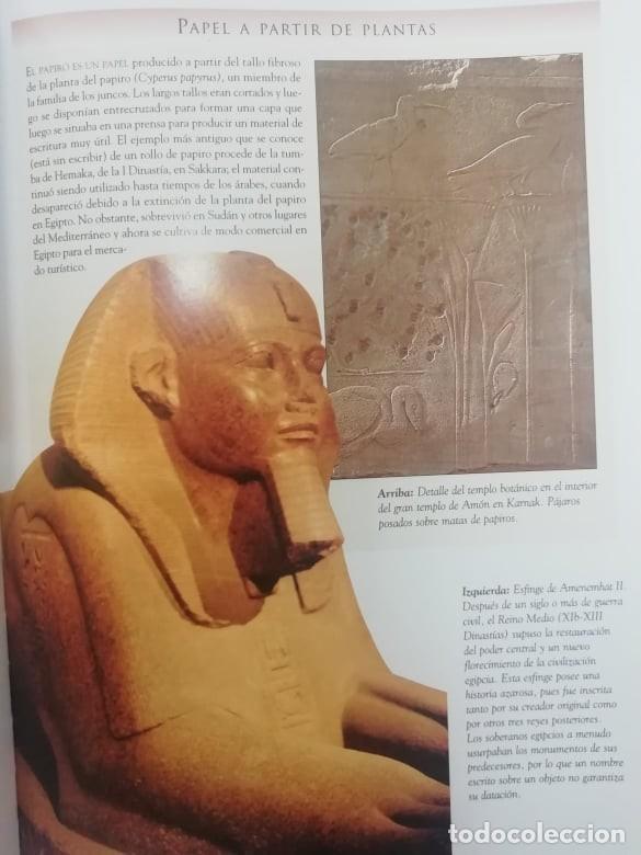 Libros: Los jerogl&iacute;ficos del antiguo Egipto. Aidan Dodson. Ed LIBSA - Foto 4