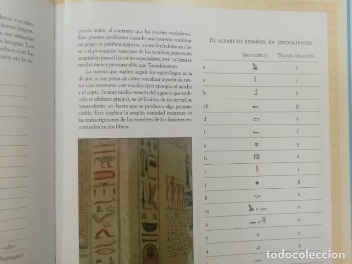 Libros: Los jerogl&iacute;ficos del antiguo Egipto. Aidan Dodson. Ed LIBSA - Foto 5