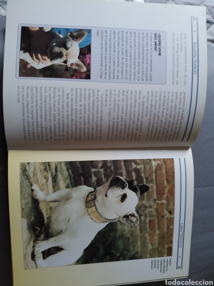 Libros: Bulldog franc&eacute;s. - Foto 2