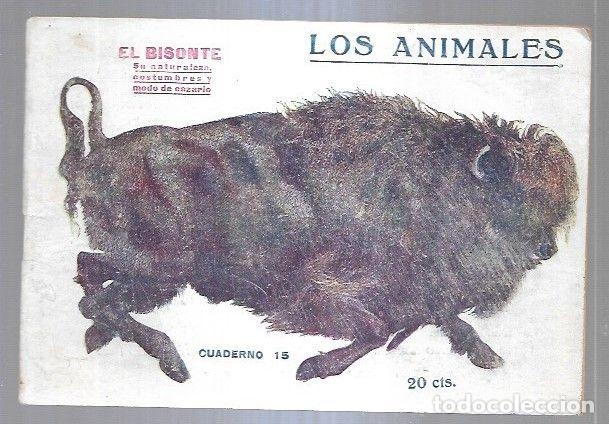 Libros: LOS ANIMALES. CUADERNO 15: EL BISONTE - VARIOS - Foto 2