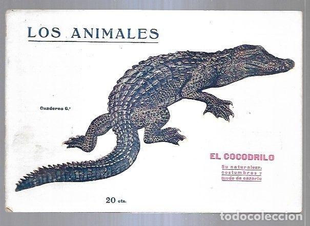 Libros: LOS ANIMALES. CUADERNO 6: EL COCODRILO - VARIOS - Foto 2