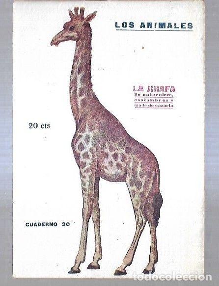 Libros: LOS ANIMALES. CUADERNO 20: LA JIRAFA - VARIOS - Foto 1