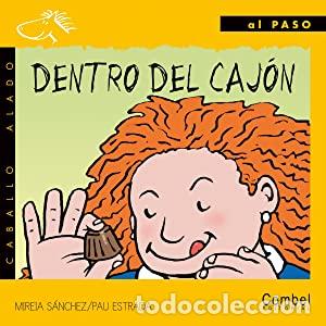 Libros: DENTRO DEL CAJ&Oacute;N - Sanchez,Mire&iacute;a/Estrada,Pau - Foto 1