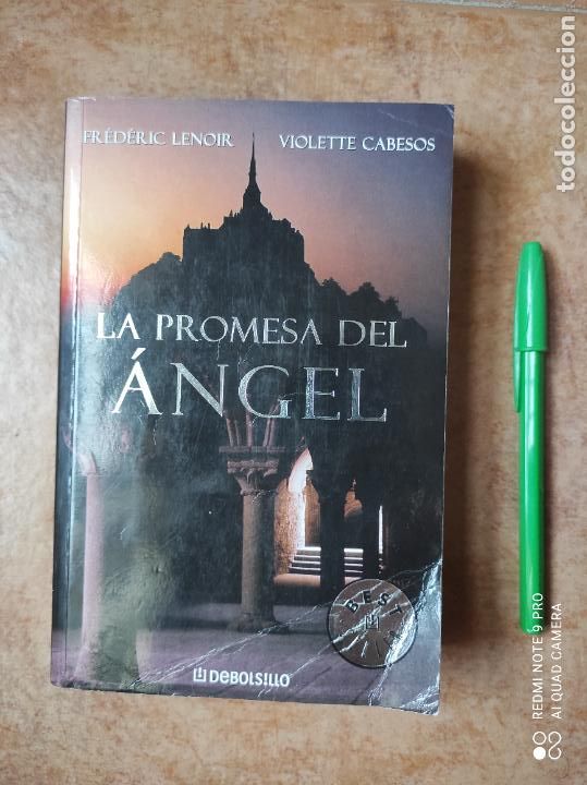 Libros: La promesa del &Aacute;ngel de Fr&eacute;d&eacute;ric Lenoir - Foto 1
