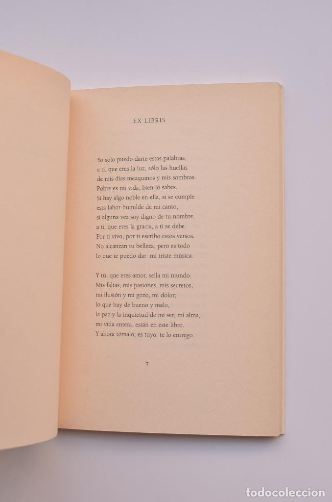 Libros: Los d&iacute;as prometidos - MAR&Iacute;N, Pedro - Foto 3