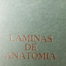 Libros: LÁMINAS DE ANOTOMIA (APARATO DIGESTIVO). Lote 293890388
