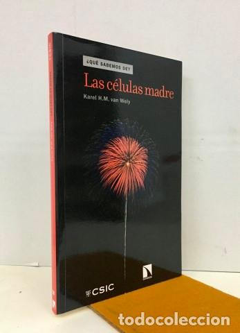 Libros: Las c&eacute;lulas madre - Wely, Karel Hermanus Martinus van (1970-) - Foto 1