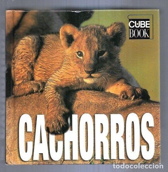 Libros: CACHORROS - SERENA ILDOS, ANGELA - Foto 2