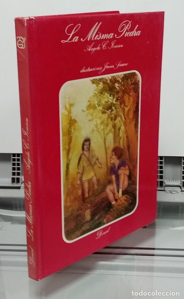 Libros: La misma piedra - Angela G. Ionescu - Foto 1