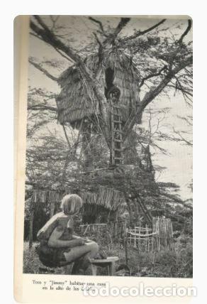 Libros: SAFARI EN KAMANGA - H. Tichy - Foto 5