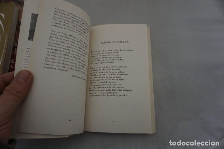 Libros: 12D/ HOME AO PAIRO - AVELINO ABUIN DE TEMBRA - 1974 - Foto 5
