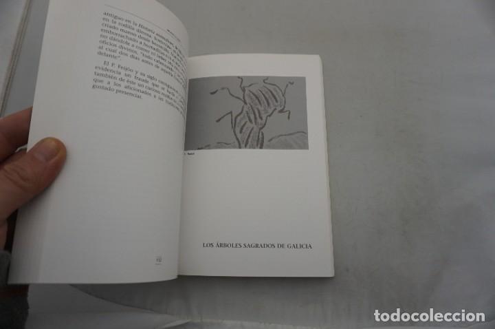 Libros: 23C/ ENSAYOS GALLEGOS - ANTONIO BLANCO FREIJEIRO - Foto 5