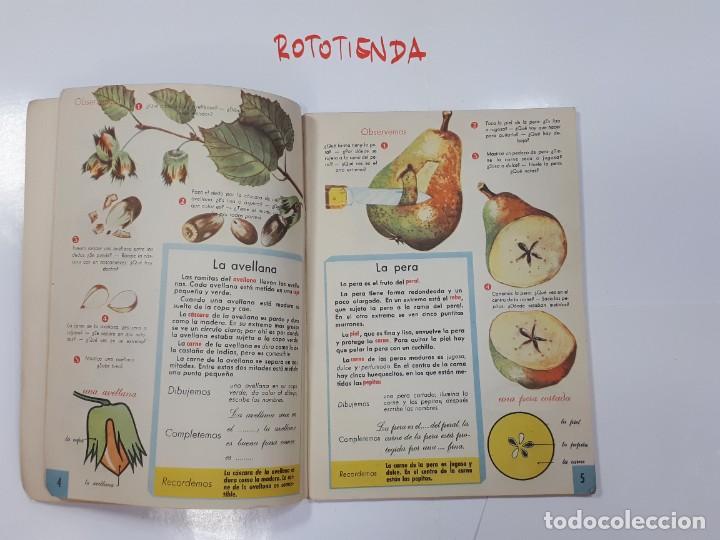 Libros: Ejercicios de Observaci&oacute;n. Magisterio Espa&ntilde;ol S.A. - Foto 3