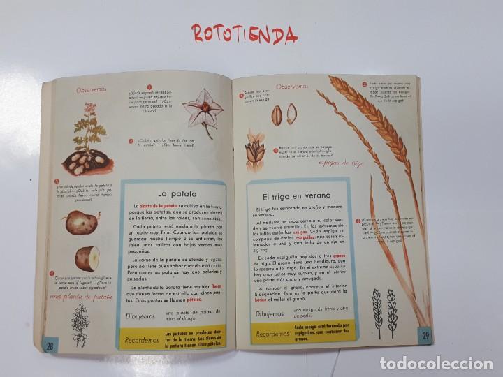 Libros: Ejercicios de Observaci&oacute;n. Magisterio Espa&ntilde;ol S.A. - Foto 6