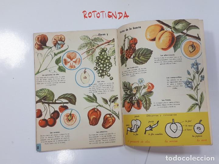 Libros: Ejercicios de Observaci&oacute;n. Magisterio Espa&ntilde;ol S.A. - Foto 8
