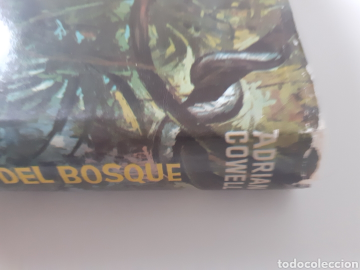 Libros: El coraz&oacute;n del bosque. Adrian Cowell - Foto 3