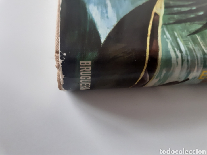 Libros: El coraz&oacute;n del bosque. Adrian Cowell - Foto 4