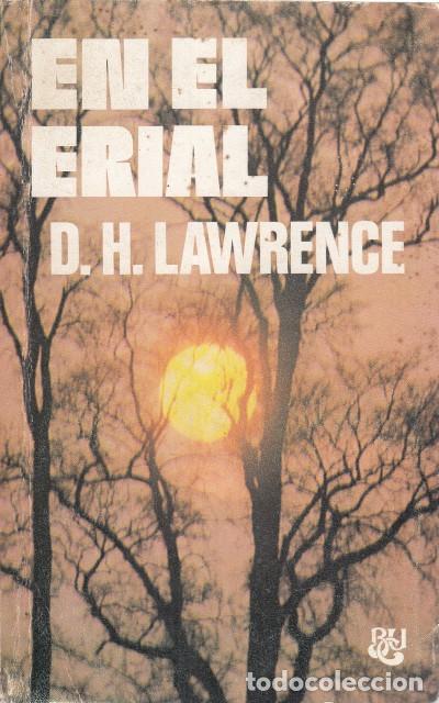 Libros: EN EL ERIAL - LAWRENCE, D. H. - Foto 1