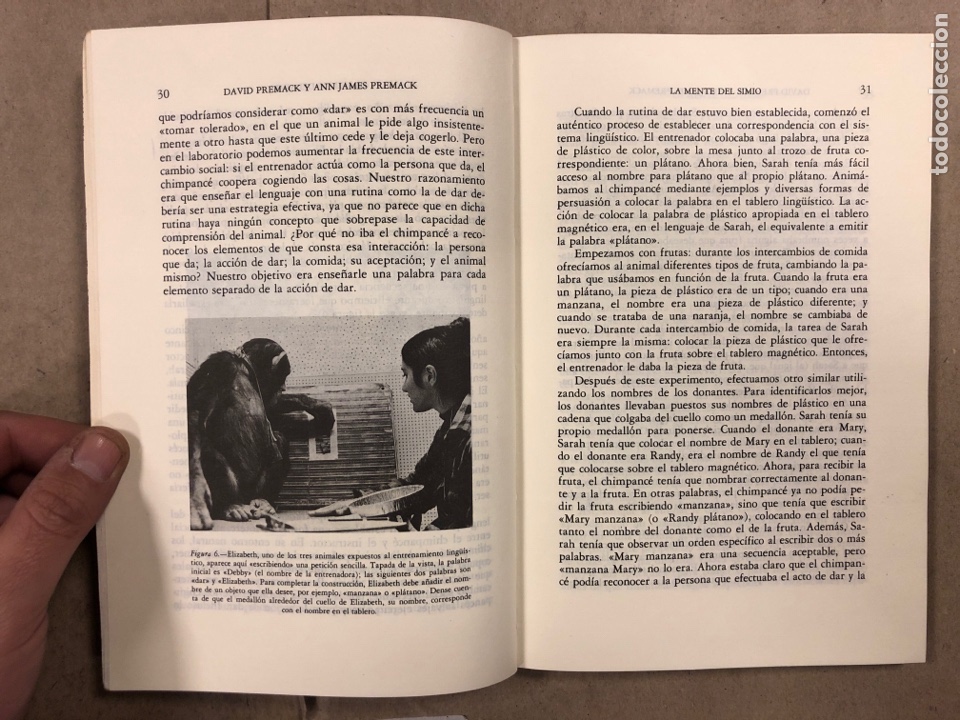 Libros: LA MENTE DEL SIMIO. DAVID PREMACK Y ANN JAMES PREMACK. EDITORIAL DEBATE 1988. - Foto 3