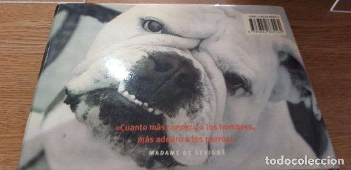 Libros: PERROS Y OTROS C&Aacute;NIDOS - Iain Zaczek - Foto 3