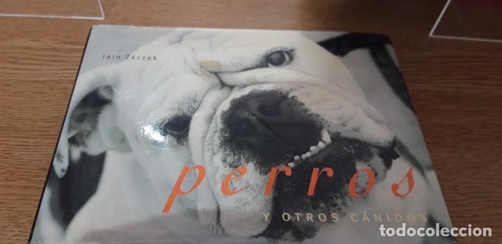 Libros: PERROS Y OTROS C&Aacute;NIDOS - Iain Zaczek - Foto 1