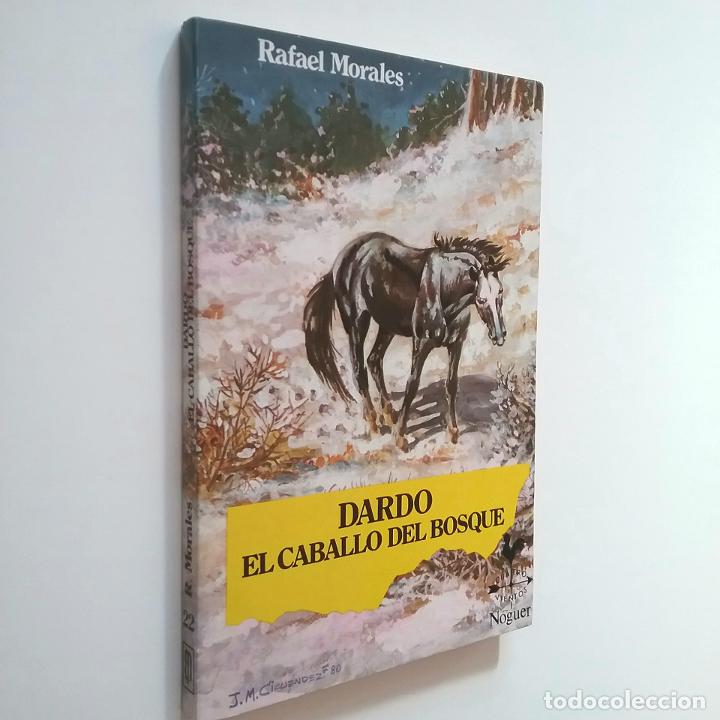 Libros: Rafael Morales - Dardo, el caballo del bosque - Foto 1