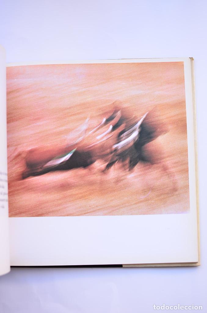 Libros: La Corrida - CAPDEVILA, Juan - Foto 6