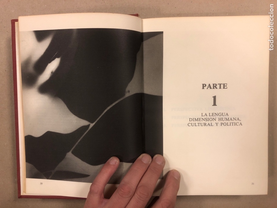Libros: EL LIBRO BLANCO DEL EUSKARA. EUSKALTZAINDIA. REAL ACADEMIA DE LA LENGUA VASCA 1977. - Foto 3