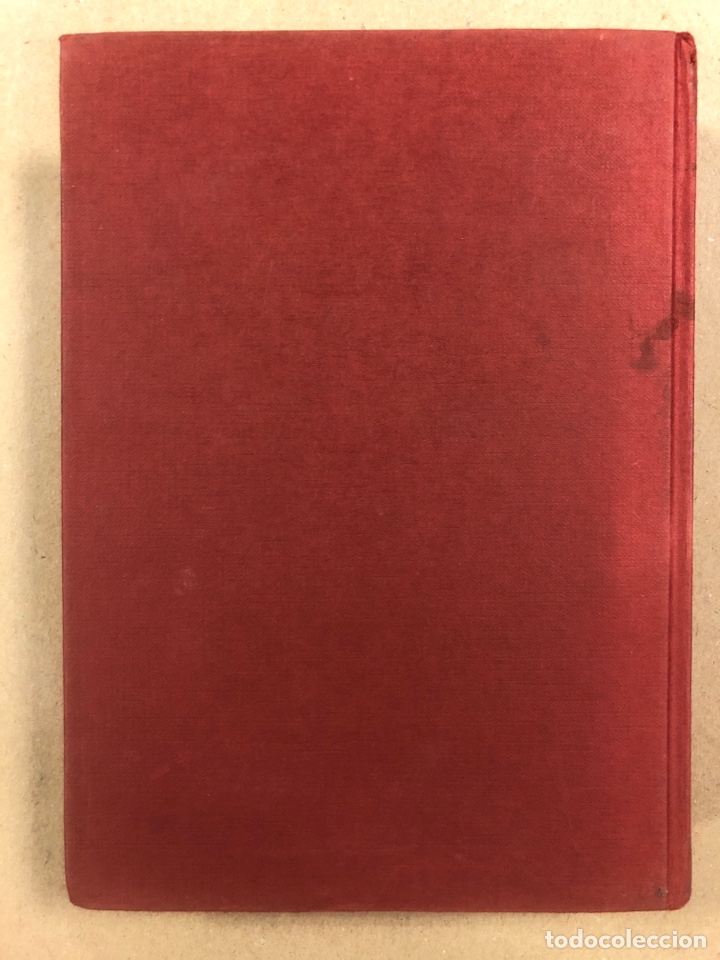 Libros: EL LIBRO BLANCO DEL EUSKARA. EUSKALTZAINDIA. REAL ACADEMIA DE LA LENGUA VASCA 1977. - Foto 10