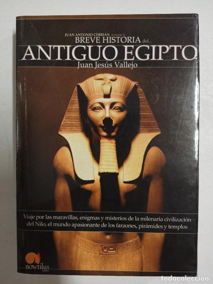 Libros: Breve historia del Antiguo Egipto: Viaje por las maravillas, enigmas y misterios de la milenaria civ