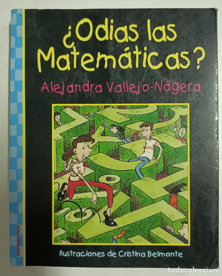 Libros: &iquest;ODIAS LAS MATEMATICAS? / ALEJANDRA VALLEJO-NAGERA - Foto 1