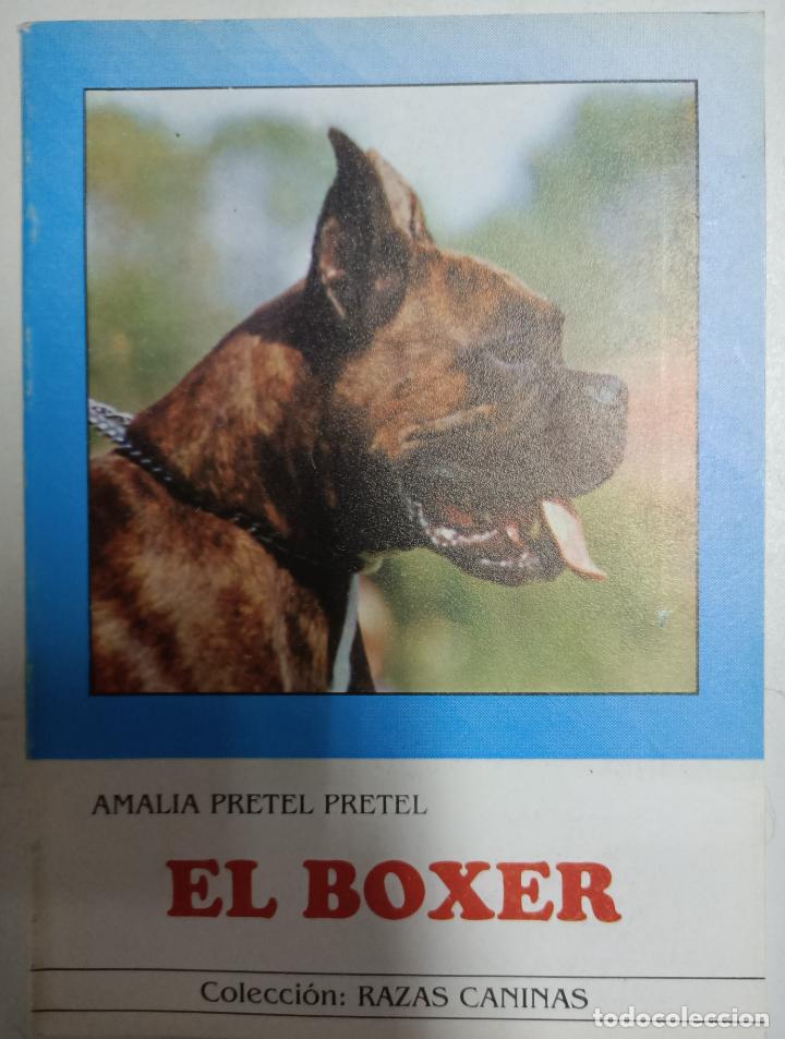 Libros: El boxer / Amalia Pretel Pretel - Foto 1