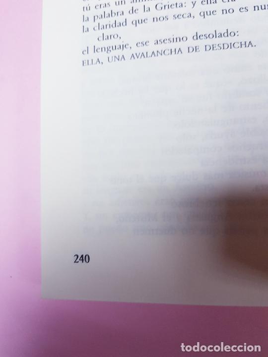 Libros: LIBRO-MATEM&Aacute;TICA DEMENTE-LEWIS CARROL-2&ordf;EDICI&Oacute;N F&Aacute;BULA-2002 - Foto 10
