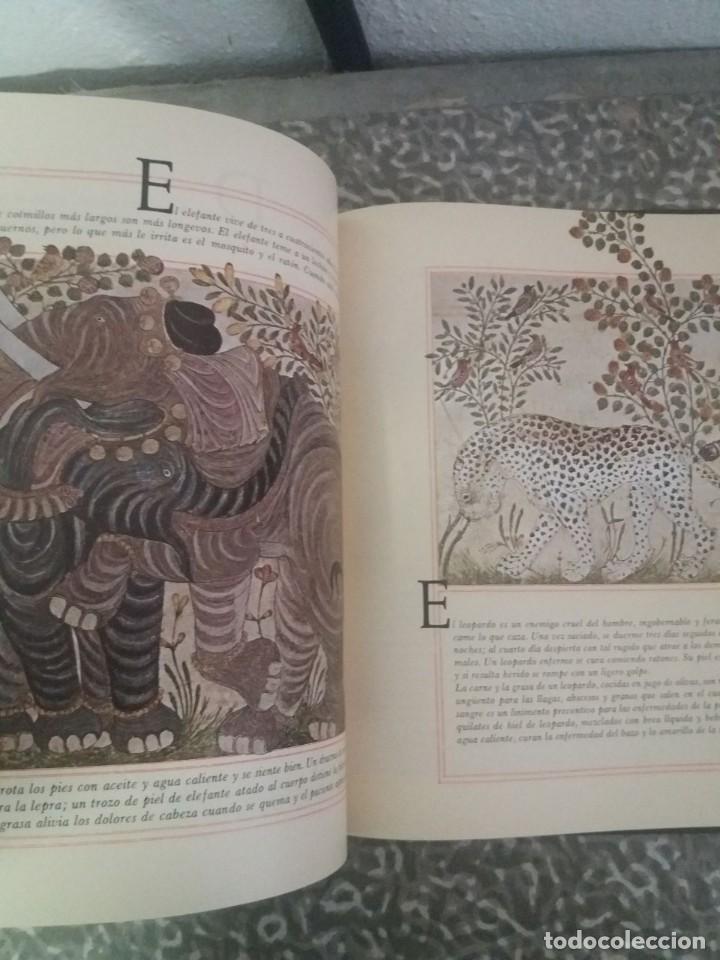 Libros: El Antiguo Islam. - STEWART, Desmond: - Foto 4