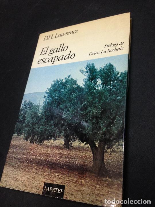 Libros: El gallo escapado - Lawrence, David H. - Foto 1