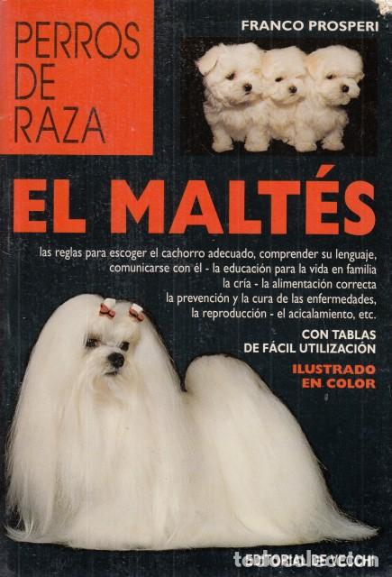 Libros: PERROS DE RAZA. EL MALT&Eacute;S - PROSPERI, FRANCO - Foto 1